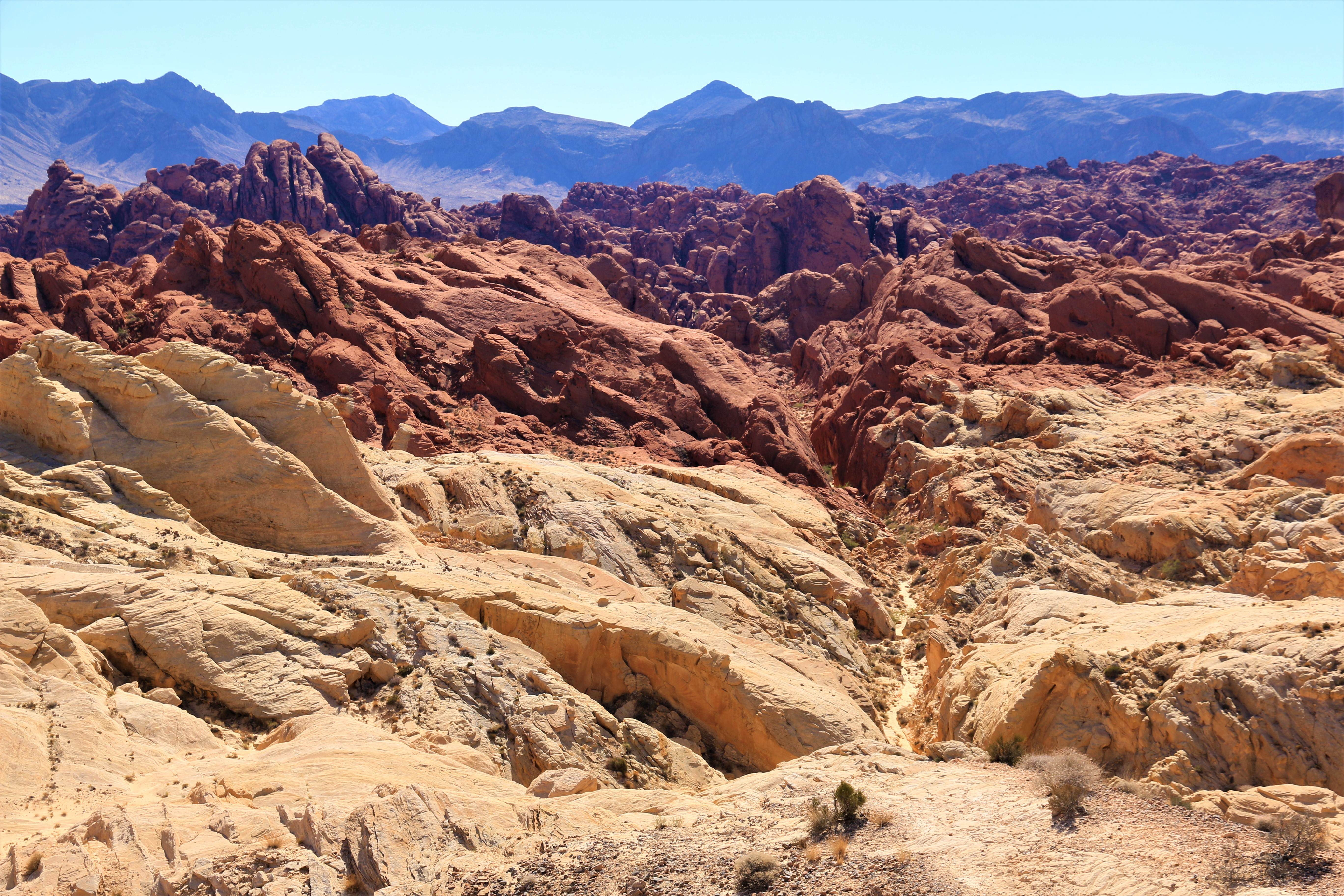 Nevada